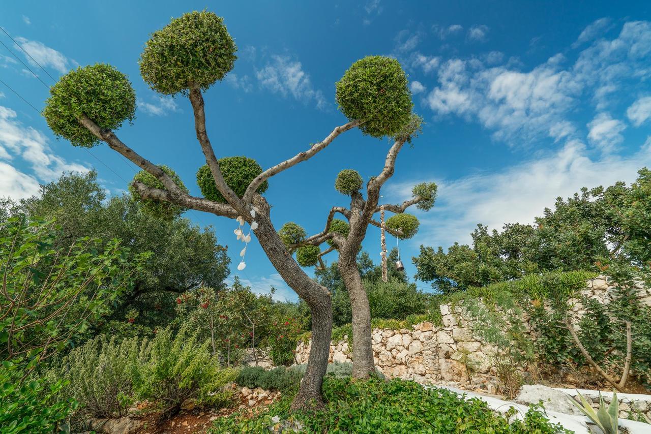 Askos Stone Villa - The Island Panorama Agios Nikolaos  Bagian luar foto